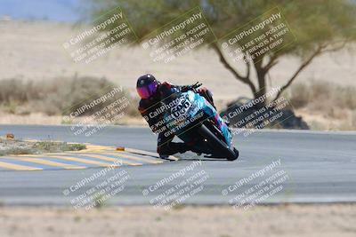 media/May-12-2024-SoCal Trackdays (Sun) [[ad755dc1f9]]/10-Turn 4 Tree of Life (1120am)/